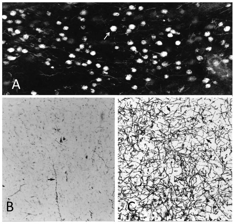 Figure 16