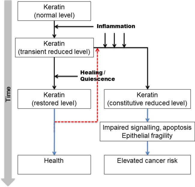 Figure 7