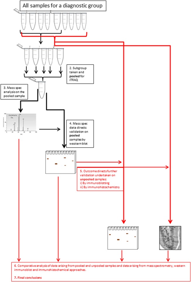 Figure 1