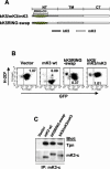 FIG. 7.