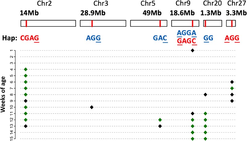 FIGURE 4