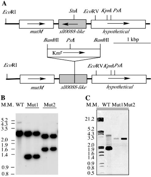 FIG. 7.