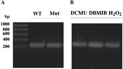 FIG. 8.