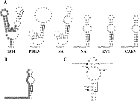 FIG. 3.