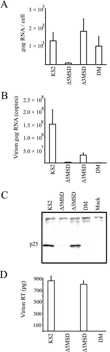 FIG. 6.