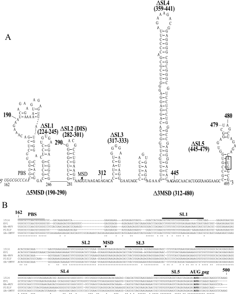 FIG. 1.