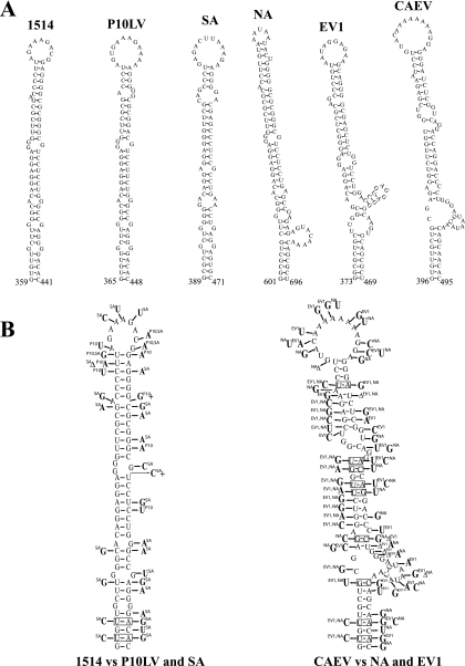 FIG. 2.