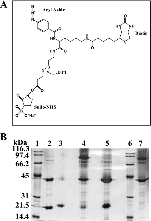 FIG. 5.