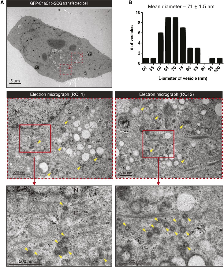 Fig. 3.