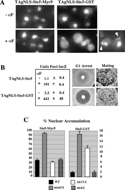 Figure 7.