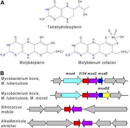 Figure 6.