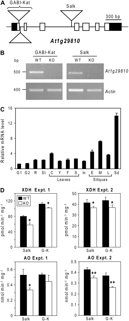 Figure 7.