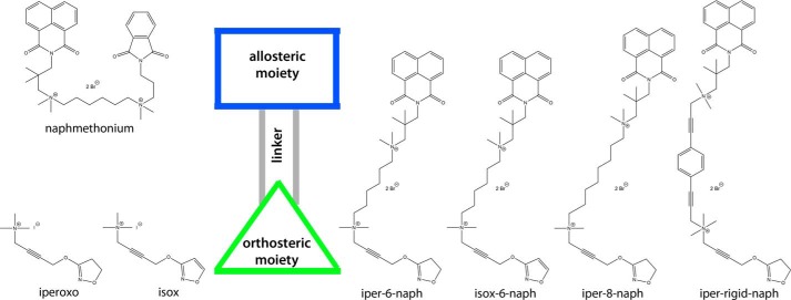 FIGURE 4.