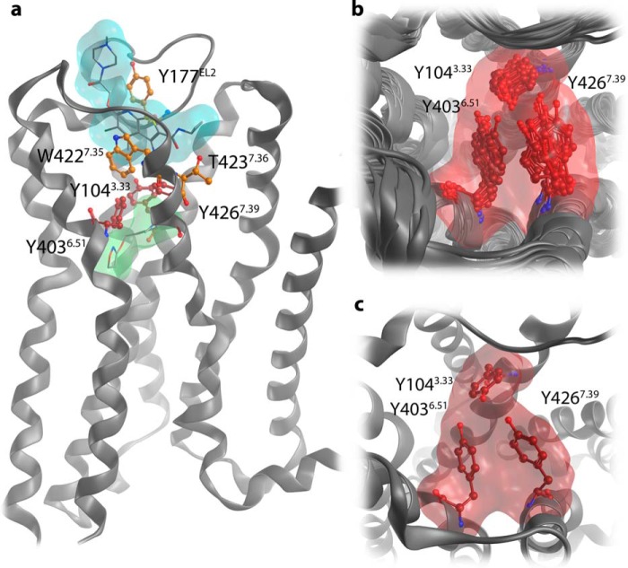 FIGURE 2.