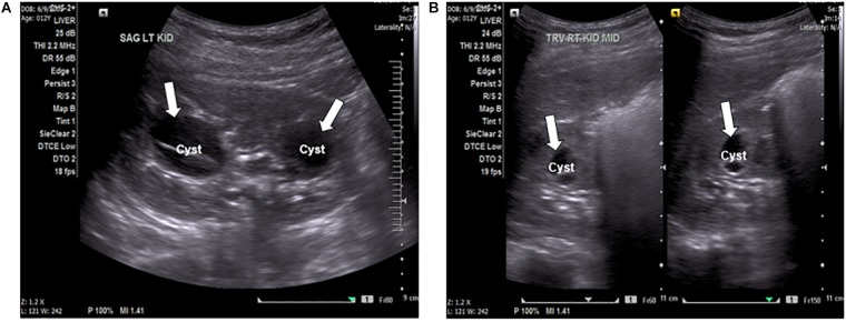 FIGURE 1