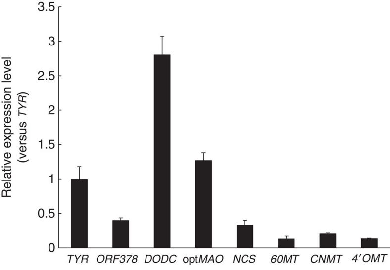 Figure 4