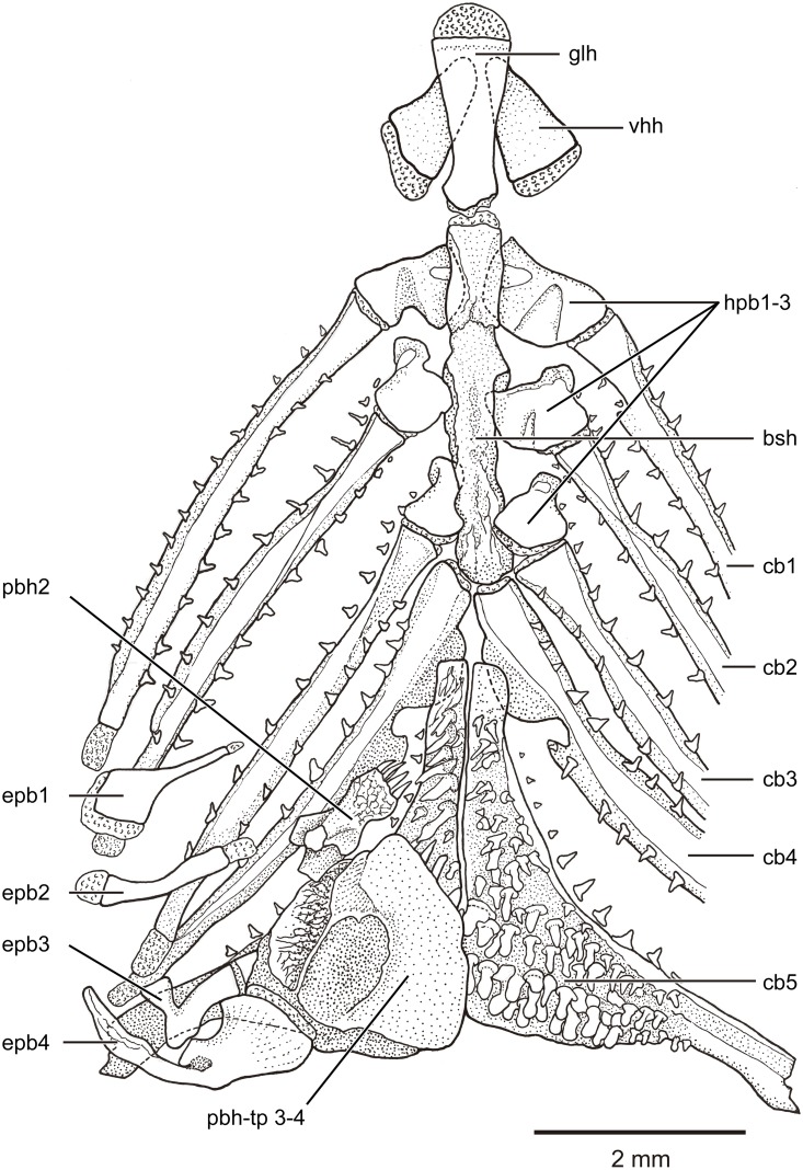 Fig 11