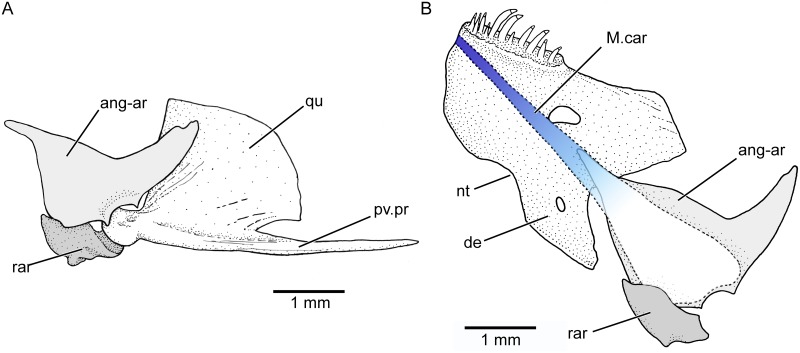 Fig 10