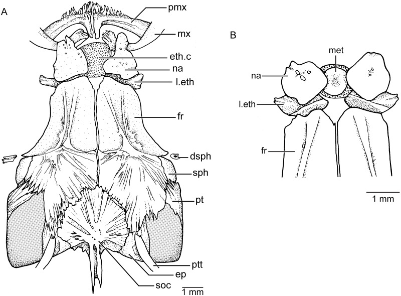 Fig 5