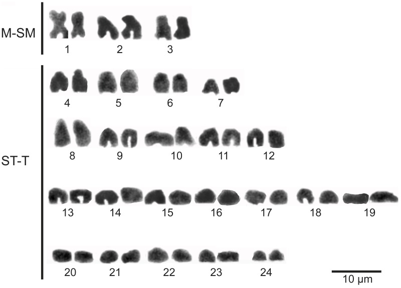 Fig 19