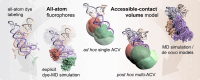 Graphical Abstract