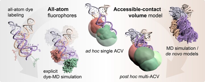 Graphical Abstract