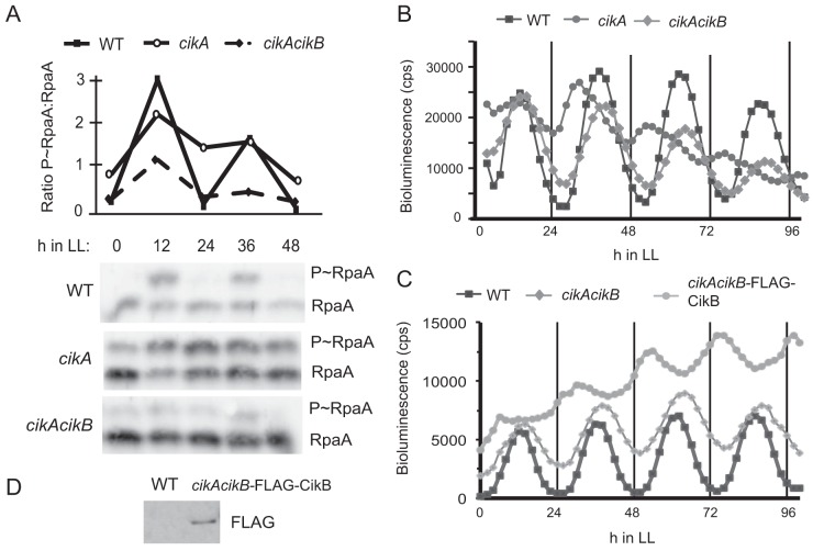 FIG 4