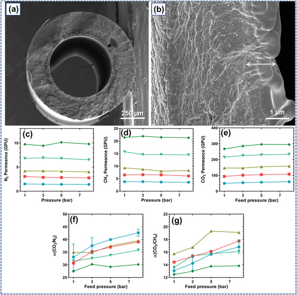 Figure 31