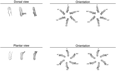 Fig. 2