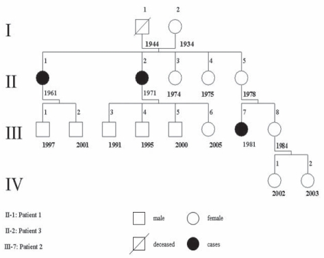 Figure 1)