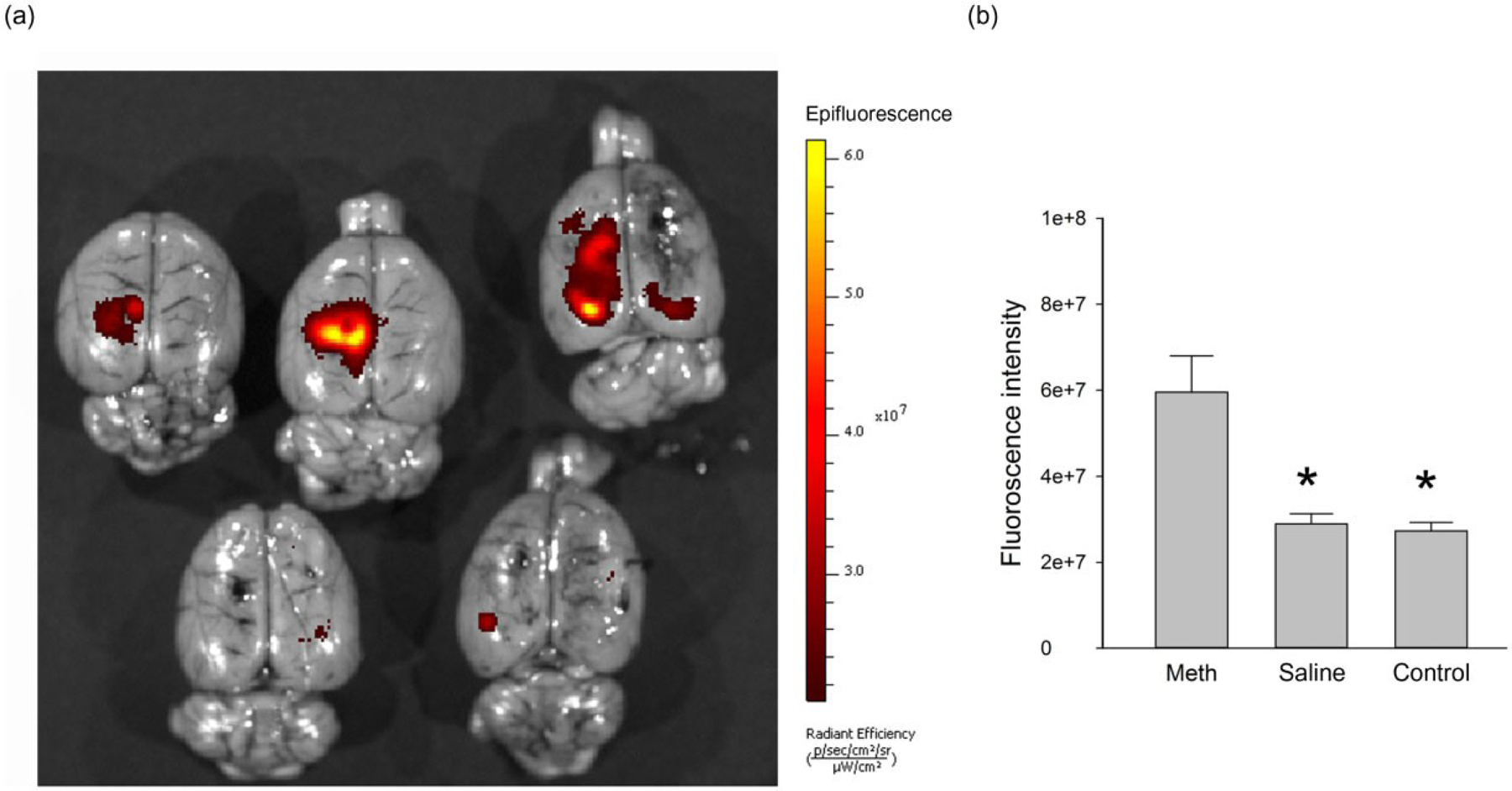 Figure 6: