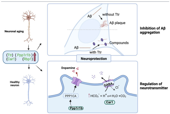 Figure 10