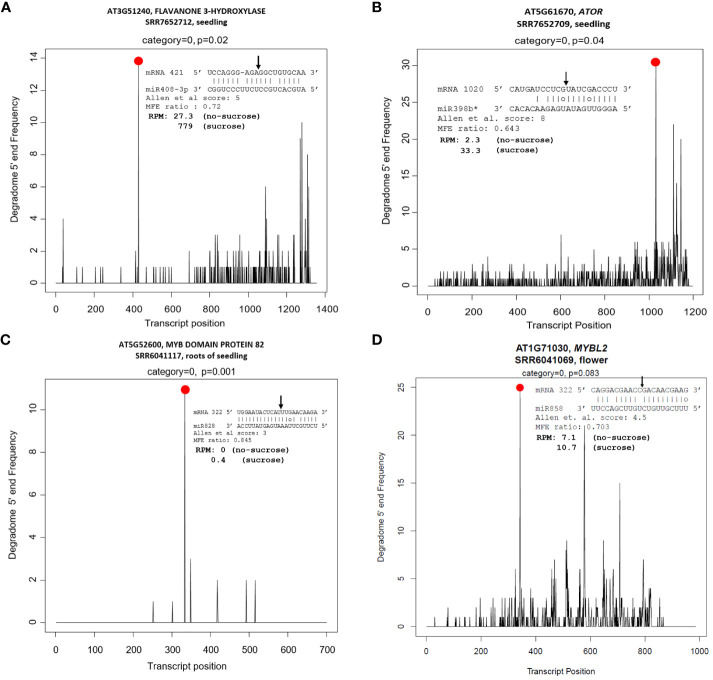 Figure 6