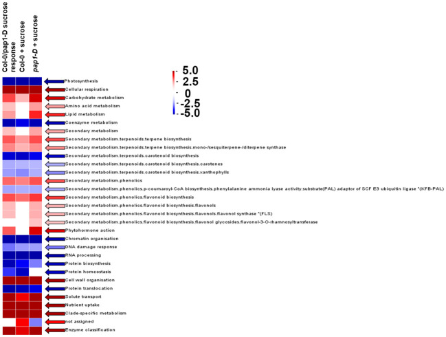 Figure 3