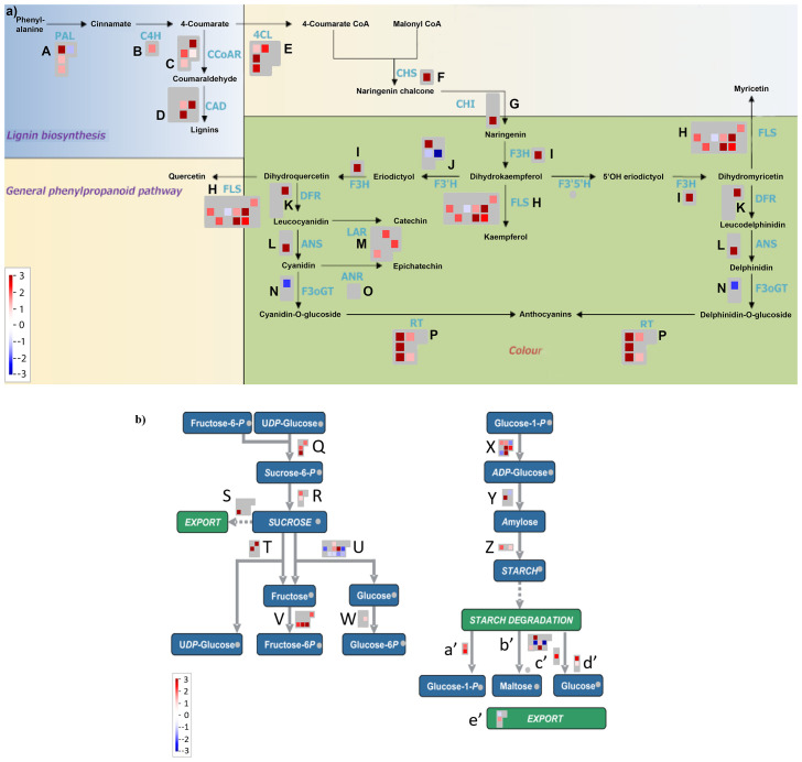 Figure 4