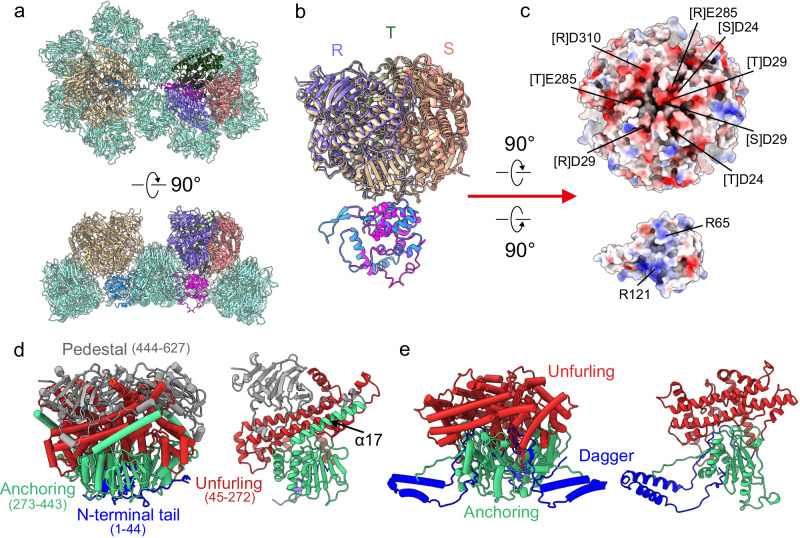 Fig. 4