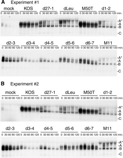 FIG. 3.