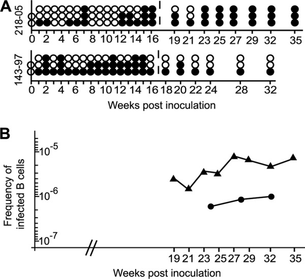 FIG 5