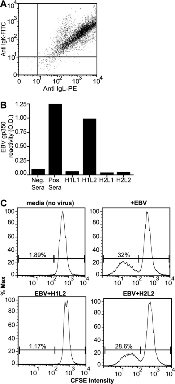 FIG 1