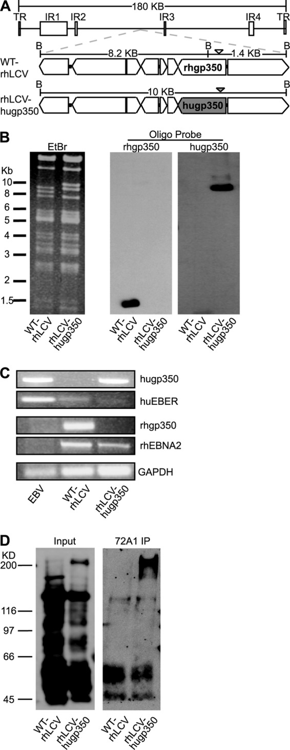 FIG 3