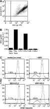 FIG 1