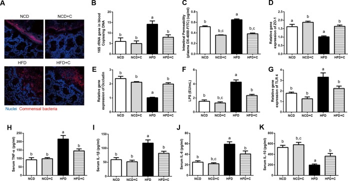 FIG 1 