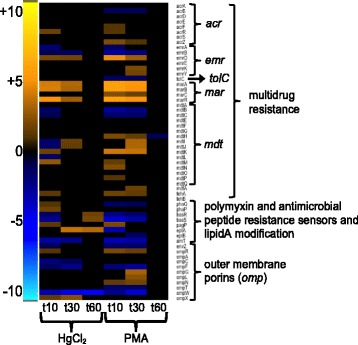 Fig. 11