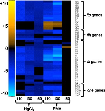 Fig. 12