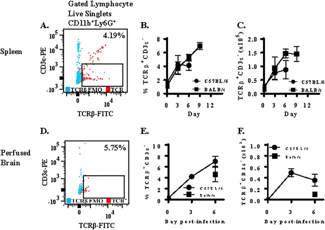 FIG 2