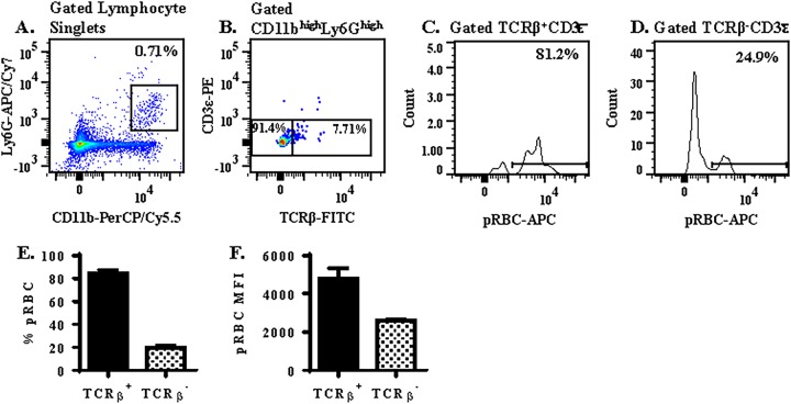 FIG 8