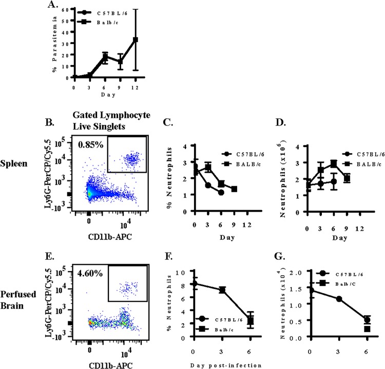 FIG 1