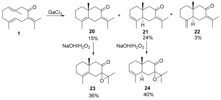 Scheme 4