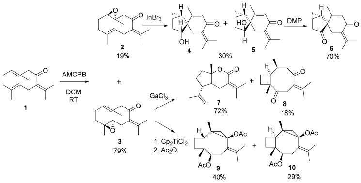 Scheme 1