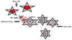 Figure 36